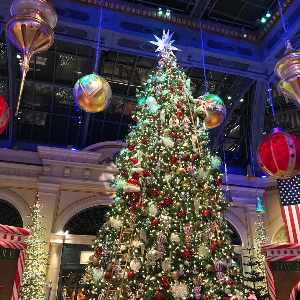 Meet your Posher, Joy